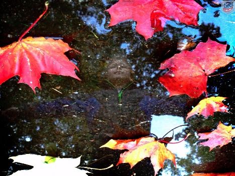 Осеннее-отражение